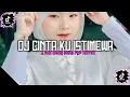 Download Lagu DJ CINTA KU ISTIMEWA X PAK WONG VONG FYP TIKTOK