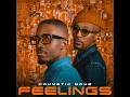 Feelings