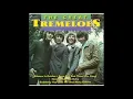 The Tremeloes - Silence Is Golden