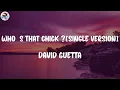 David Guetta - Who's That Chick ? (feat. Rihanna) [Single Version] (Lyrics)