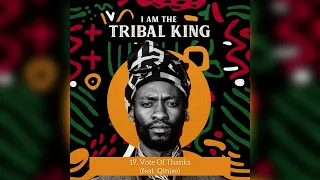 19 tribe franko vote of thanks feat qiniso 