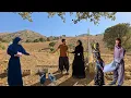 Download Lagu Abbas's journey to see the inherited land with Elham