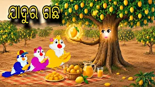 jadura gacha odia stories odia gapa tiki chadhei gapa bird gapa kahani