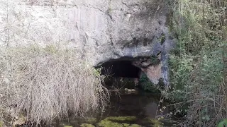 خربة البديه اذار 2022 قبالة قرية رميش اللبنانيه עין גודרים 