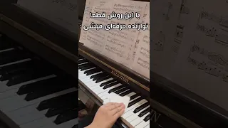 با این روش قطعا نوازنده حرفه ای میشی پیانو Piano Music پیانیست موسیقی 