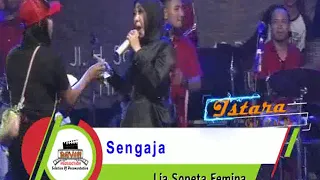 Download 10 lia   sengaja MP3