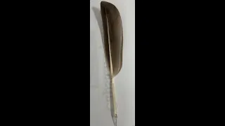 24 Nov 2023 More on the supurbness of the balanced lug sail