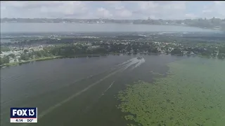 Drone Zone Winter Haven s chain of lakes