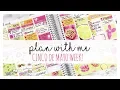 Plan With Me Cinco de Mayo Week Hot Pink Foil Weekly Kit