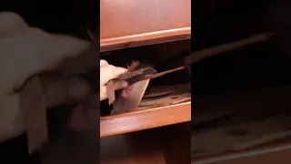 Sneak peak Of our latest episode! Link to The full vid is in the comments ⛵️🎥 #boatlife #sailing