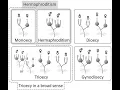 True hermaphroditism And Pseudohermaphroditism Definition and Differences