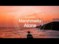 Download Lagu Marshmello-Alone(No copyright music)