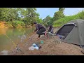 Download Lagu Camping dan mancing bersama istri sampai terkejut pancing di tarik ikan baung