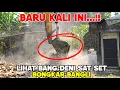 Download Lagu BANGLI CIBARENGKOK DIBONGKAR DENI SAT SET‼️AKAN JADI RUTE ALTERNATIF