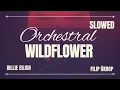 Download Lagu WILDFLOWER - Orchestral Remix (Slowed)