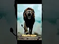 Download Lagu mapogo lion 🦁 ,mapogo lions fight,mapogo lions of sabi sands,#shorts #shortvideo