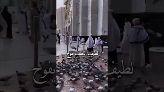 آمالنا بالله 