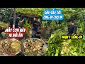 Download Lagu Ếch nấu là giang bồi bổ cho những chuyến sinh tồn tưởng được ăn ngon ai ngờ | HoàiPhong TV