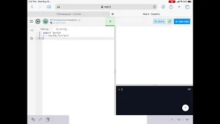 Python Turtle Graphics-Goto