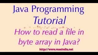 How to read a file in byte array in Java