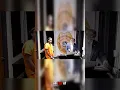 DThang Gz Arrested In Miami AGAIN It s Over