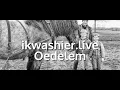 Lagu Belgische Trekpaarden ploegen en eggen - ikwashier.live in Oedelem
