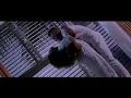 Download Lagu VIOLAH NAKITENDE -  Tosiimula   New Ugandan Music 2018 HD (please Don't Re upload)