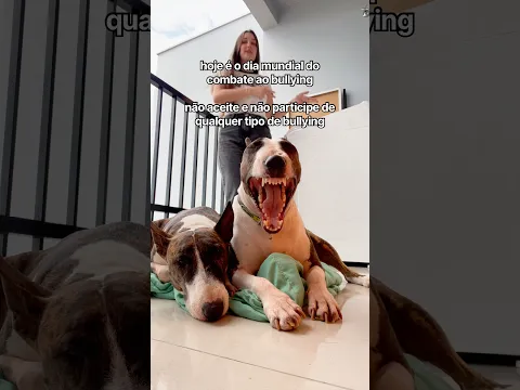 DENUNCIE O BULLYING !! Vamos juntos nessa!!