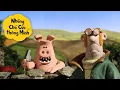 Lagu Những Chú Cừu Thông Minh 🐑 🐷😆 Những Khoảnh Khắc Hài Hước Tập đầy đủ