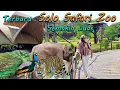 Download Lagu Solo Safari Review Lengkap Kebun Binatang Terbaru Jateng Tempat Luas Ragam Aneka Satwa