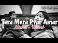 Download Lagu Tera Mera Pyar Amar Lofi [Slowed+Reverb] | Old Hindi Songs | Lata Mangeshkar - Sam Lofi Lyrics