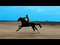Download Lagu Horse Running in 80 KMPH| Hassan Airport #horselover
