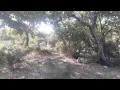 Download Lagu SECRET SOUNDS: SACRED GROVE:  ANCIENT ISRAEL