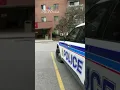 Ottawa woman killed in south-end femicide