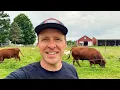 9 Cattle 28 Sheep 140 Chickens on 5 acres Multi-Species Rotational Grazing and Rest