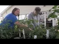 Breckinridge Co Accessible Garden