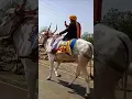 Download Lagu Uttar Kumar New Movie 2025 | Dhakad Chora | New Short Haryanvi Film | All Haryanvi Movie Uttar Kumar