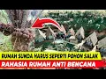 Lagu ILMUWAN BINGUNG‼️Rumah di kampung ini tahan Gempa