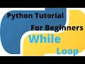 Python Tutorial for Beginners - 29