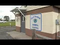 Havelock animal shelter to close temporarily for repairs and maintenance