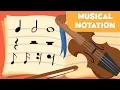 Musical Notation - Educational s about Music for kids