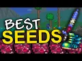 The BEST Terraria seeds 1 4 4 9