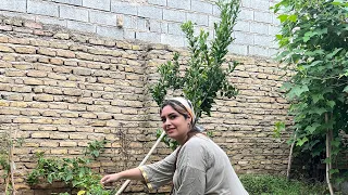 rural cooking with fresh apples traditional village life in the countryside