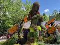 Dollywood on Memorial Day 2021 - Come with us Beauty Thrills Fun crowded forge