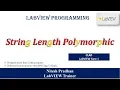 String Length Polymorphic CLAD core 1