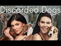 What Happened to Kylie and Kendall Jenner s Pets From Companions to Cast Aside