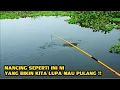 Download Lagu SURGANYA PEMANCING !!! Ikan DIsini Sangat Melimpah Sampai lupa Mau Pulang Kampung