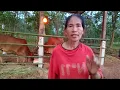 Download Lagu อัพเดทยามแลงพาน้องเข้าบ้านก่อนพระอาทิตย์ตกดิน