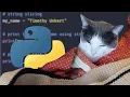 Python Programming Tutorial Late 2022 Part 8 37 minutes