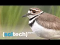 SciTech Now MOTUS Bird Tracking